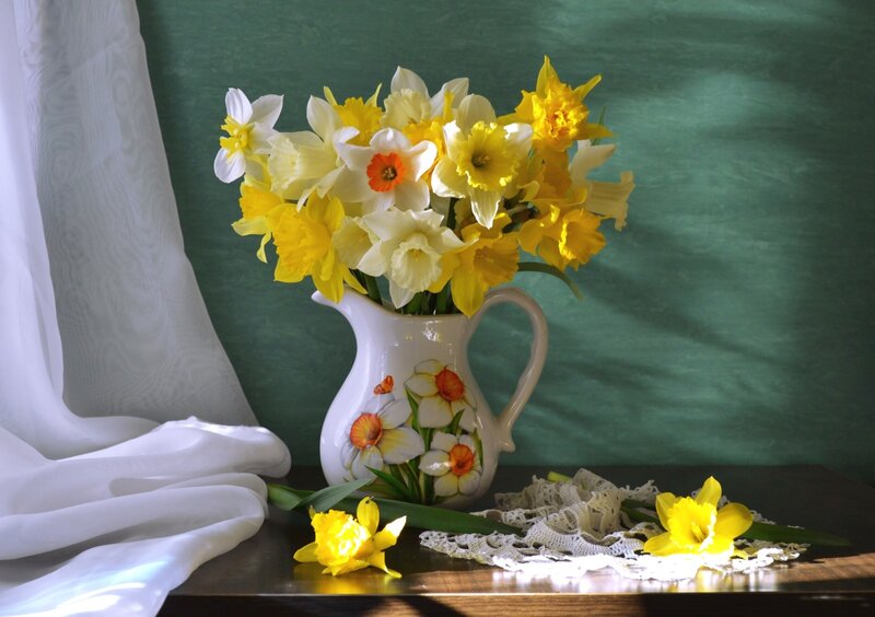 Daffodils in a Pitcher — Yellow, Serene, Spring