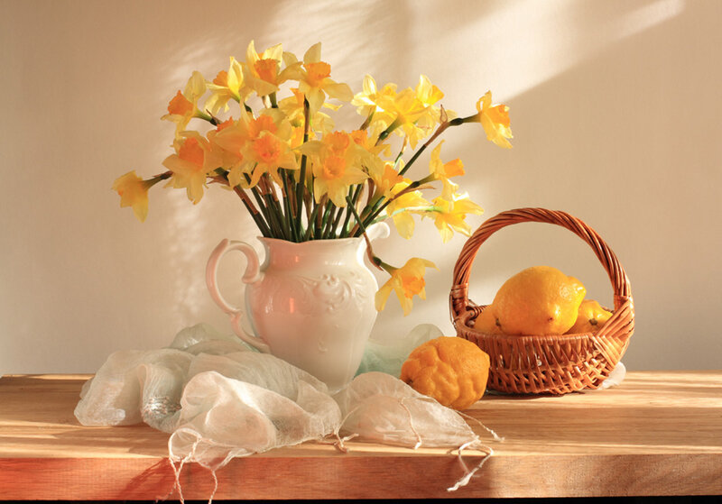 Daffodils in a Pitcher — Yellow, Serene