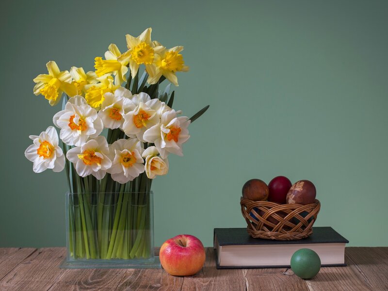 Daffodils in a Vase — Green, Calm