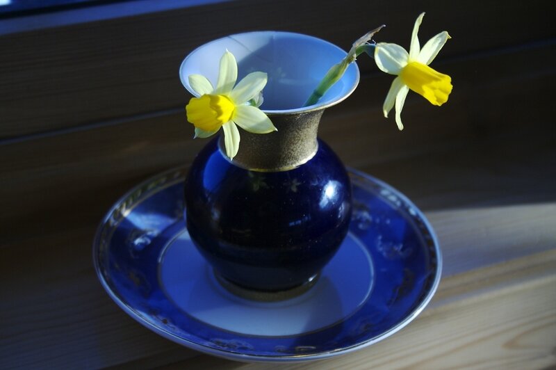 Daffodils in a Vase