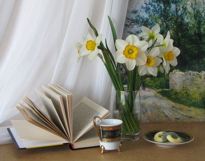 Daffodils in a Vase — White, Serene, Spring, Photograph