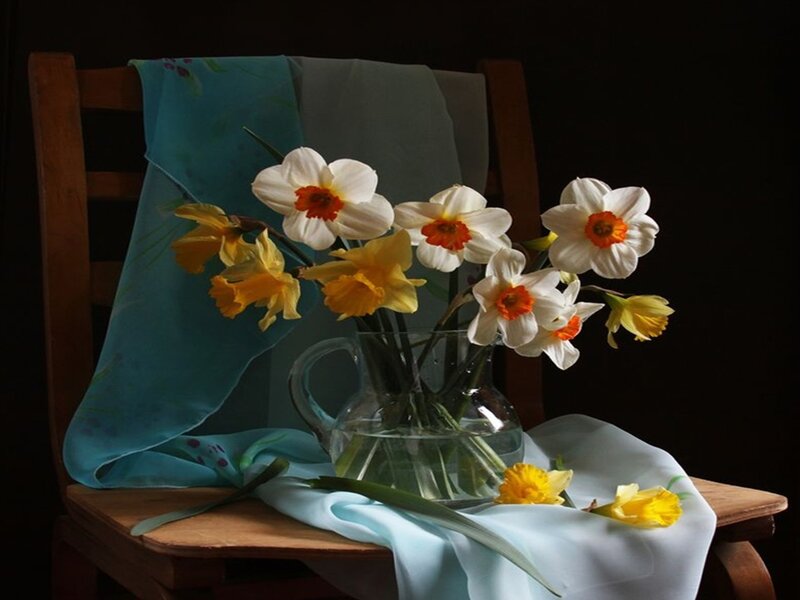 Daffodils in a Vase — White, Serene