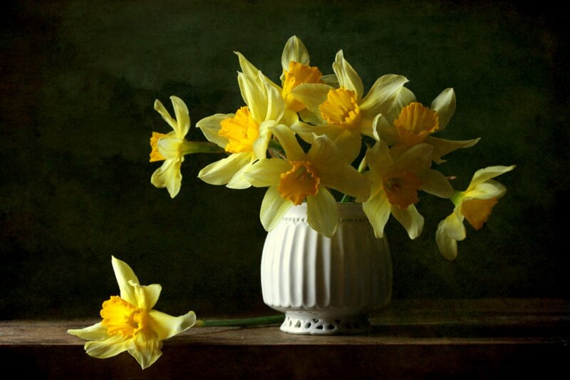 Daffodils in a Vase — Yellow, Calm, Photograph
