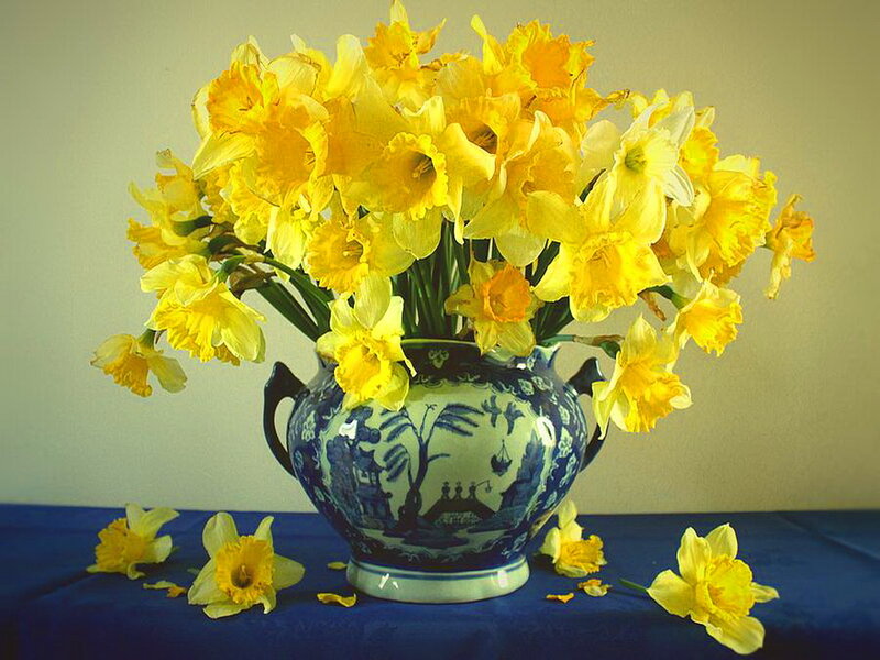 Daffodils in a Vase — Yellow, Calm, Spring, Photograph, Tablecloth
