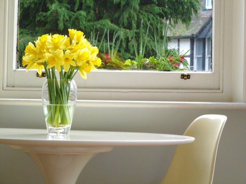 Daffodils in a Vase — Yellow, Calm, Spring, Photograph