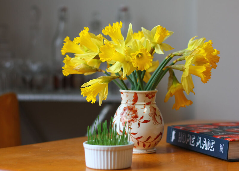 Daffodils in a Vase — Yellow, Calm, Spring