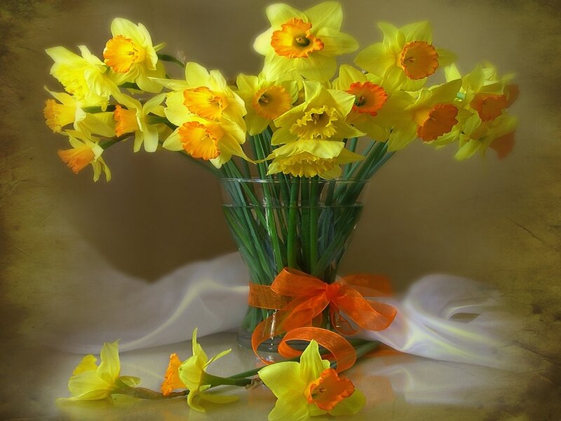 Daffodils in a Vase — Yellow, Calm