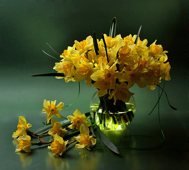 Daffodils in a Vase — Yellow, Dramatic