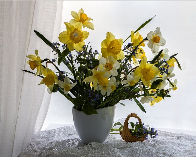 Daffodils in a Vase — Yellow, Serene, Spring, Photograph, Basket
