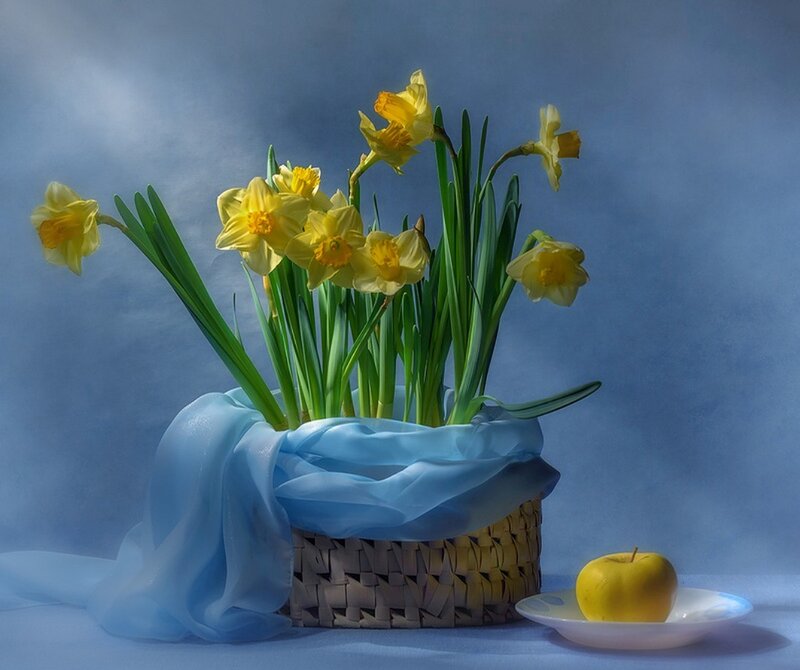 Daffodils in Basket — Blue, Serene