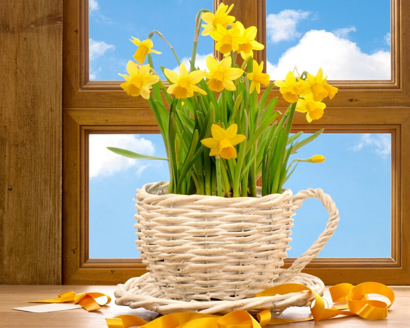 Daffodils in Basket — Yellow, Serene, Spring, Photograph