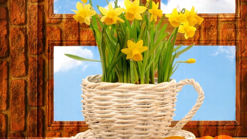 Daffodils in Basket — Yellow, Serene, Spring, Photograph, Window