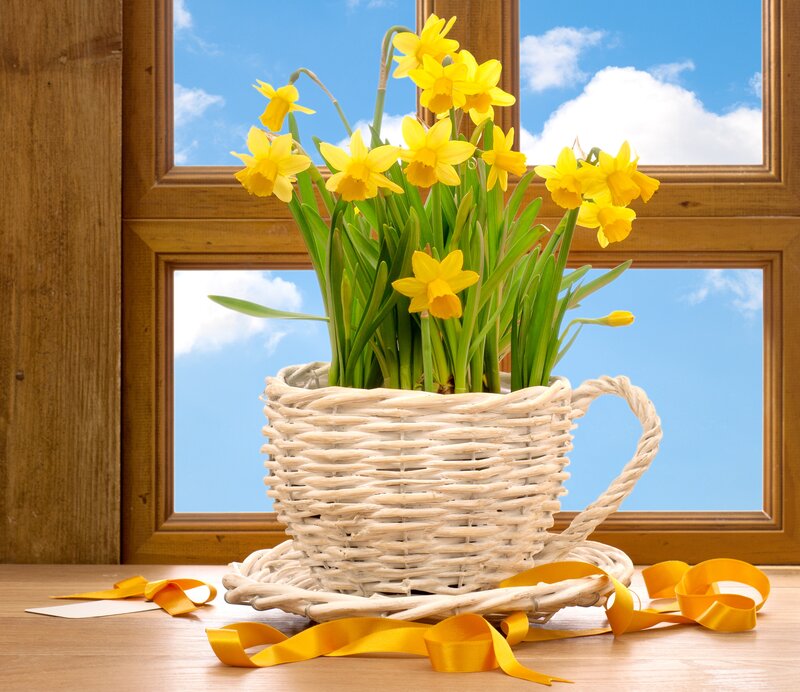 Daffodils in Basket — Yellow, Serene