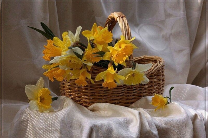 Daffodils in Basket — Yellow