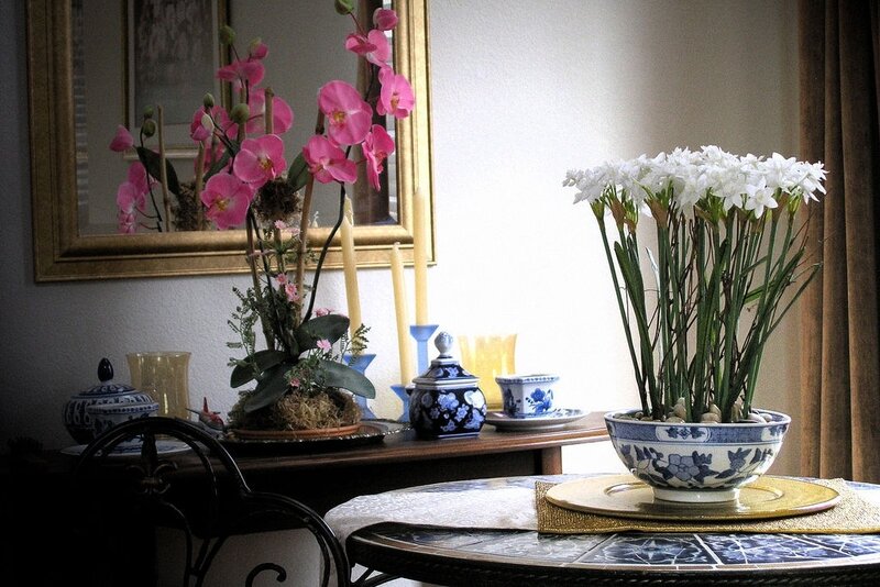 Daffodils in Blue Bowl