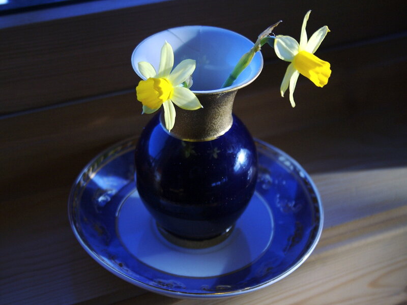 Daffodils in Blue Vase