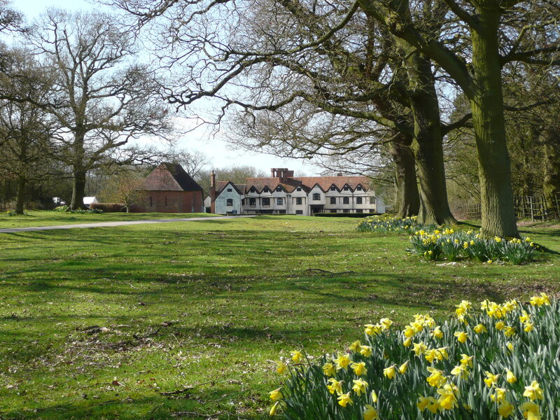Daffodils in front of a historic house