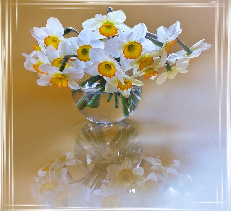 Daffodils in Glass Vase