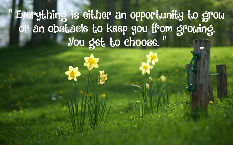 Daffodils in Grass — Green, Serene