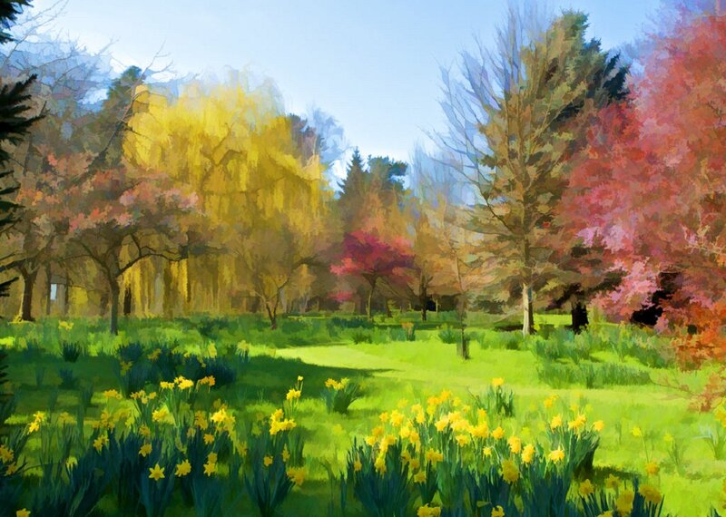 Daffodils in Park — Yellow