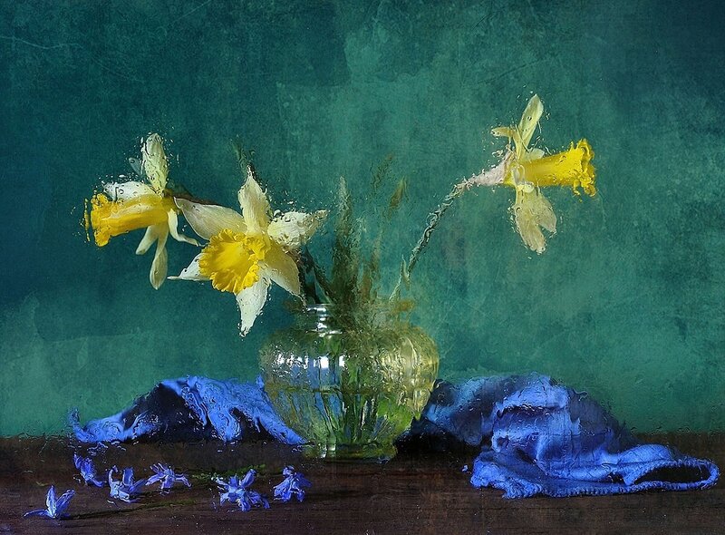 Daffodils in Vase — Green
