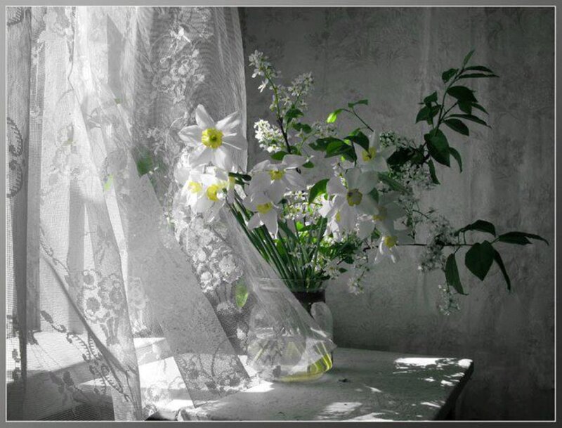 Daffodils in Vase