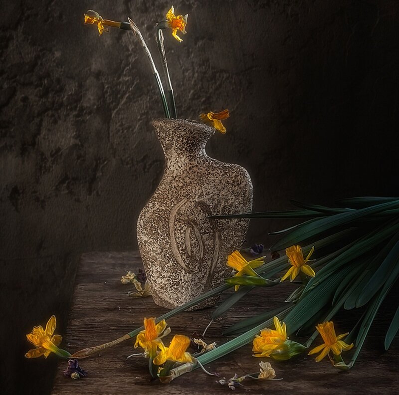 Daffodils in Vase — Yellow, Dramatic
