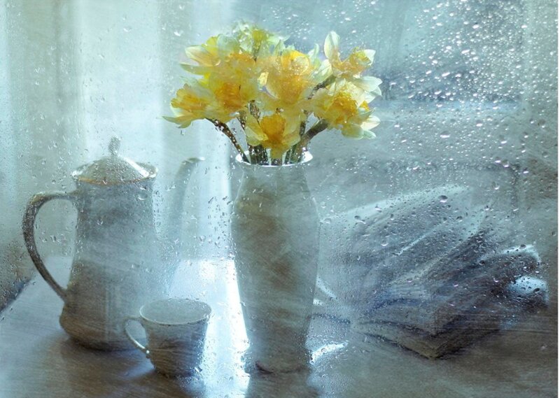 Daffodils in Vase — Yellow