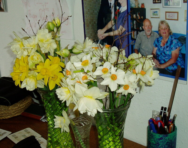 Daffodils in Vases