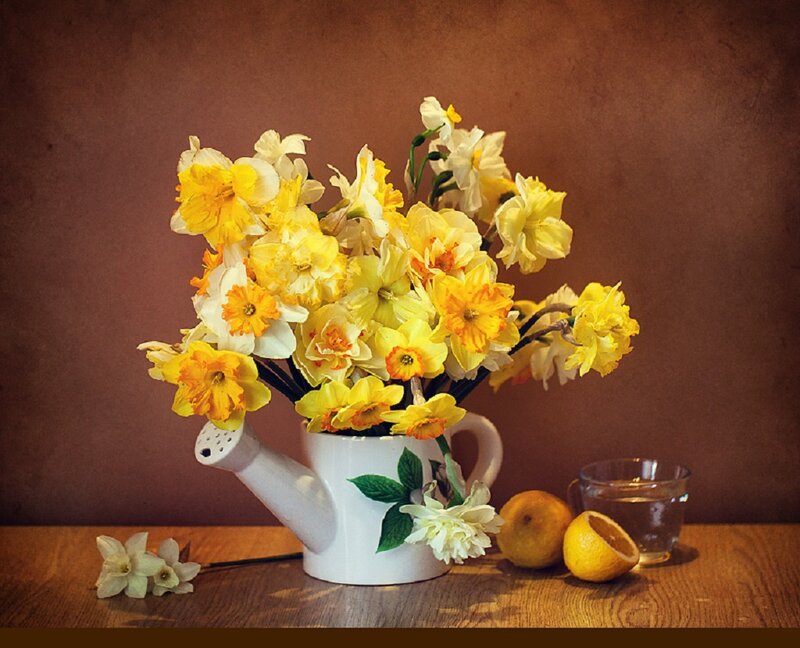 Daffodils in Watering Can