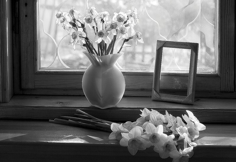 Daffodils on Windowsill — Black
