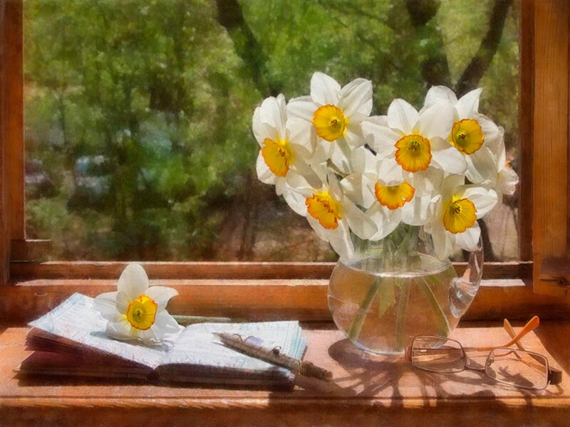 Daffodils on Windowsill
