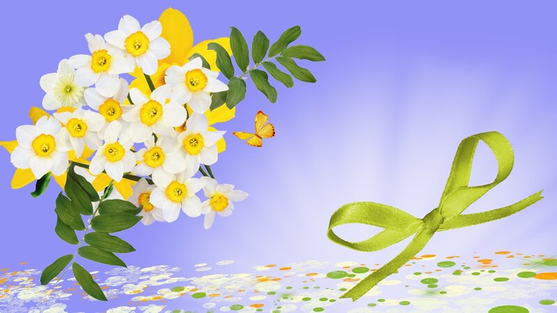 Daffodils with Butterfly