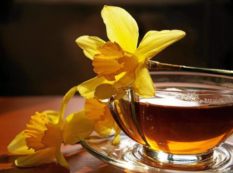 Daffodils with Tea