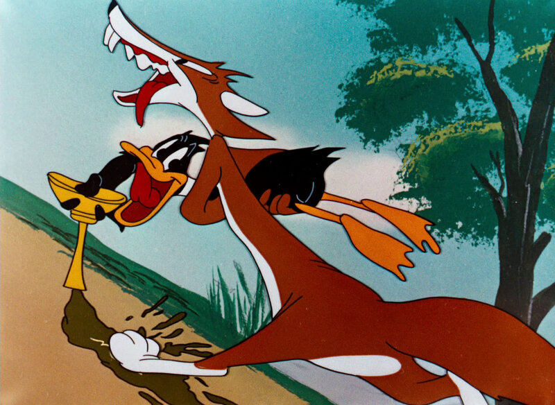 Daffy Duck Being Chased