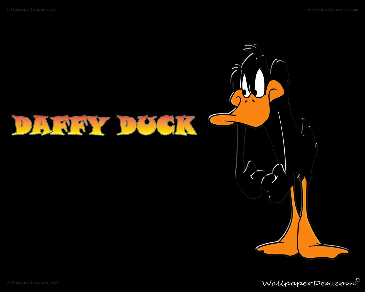 Daffy Duck character art