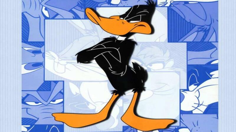 Daffy Duck Character — Blue, Confident