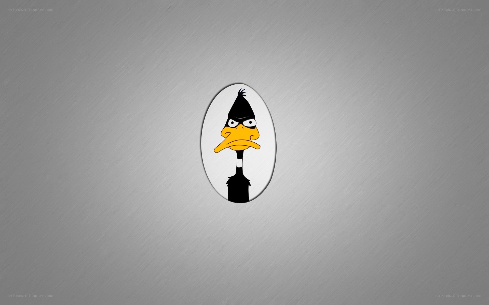 Daffy Duck in an egg