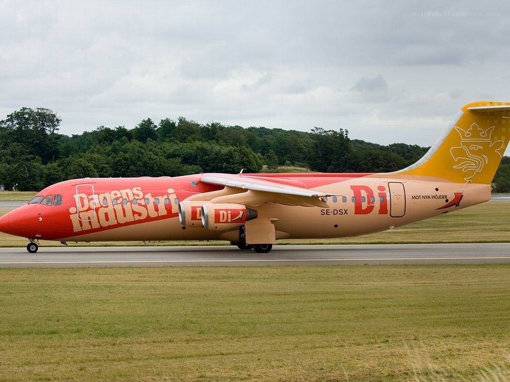Dagens Industri branded airplane