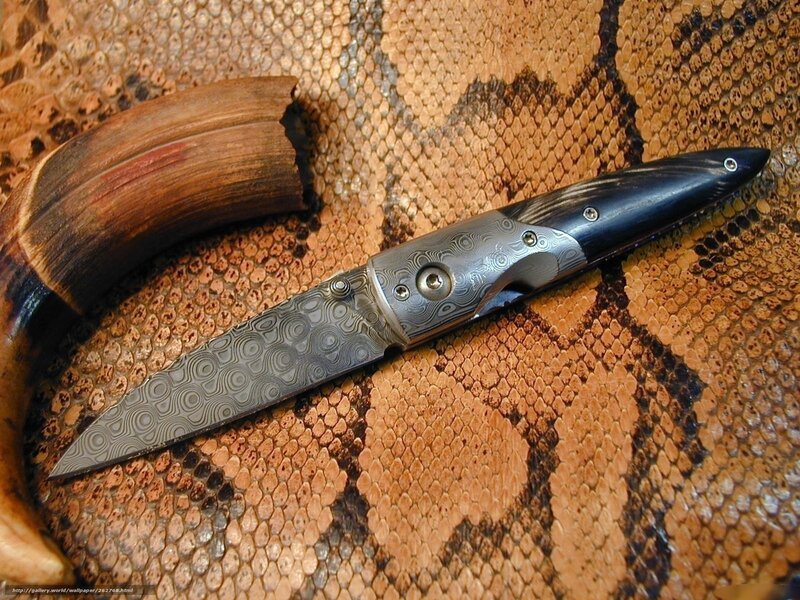 Dagger on Snake Skin