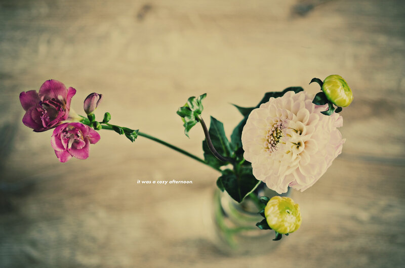 Dahlia and Snapdragon Flowers