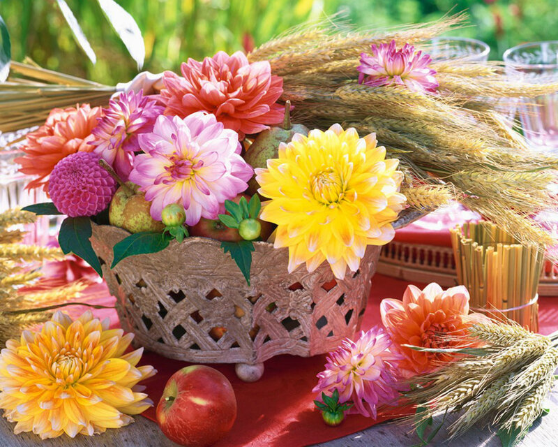 Dahlia Bouquet in Basket