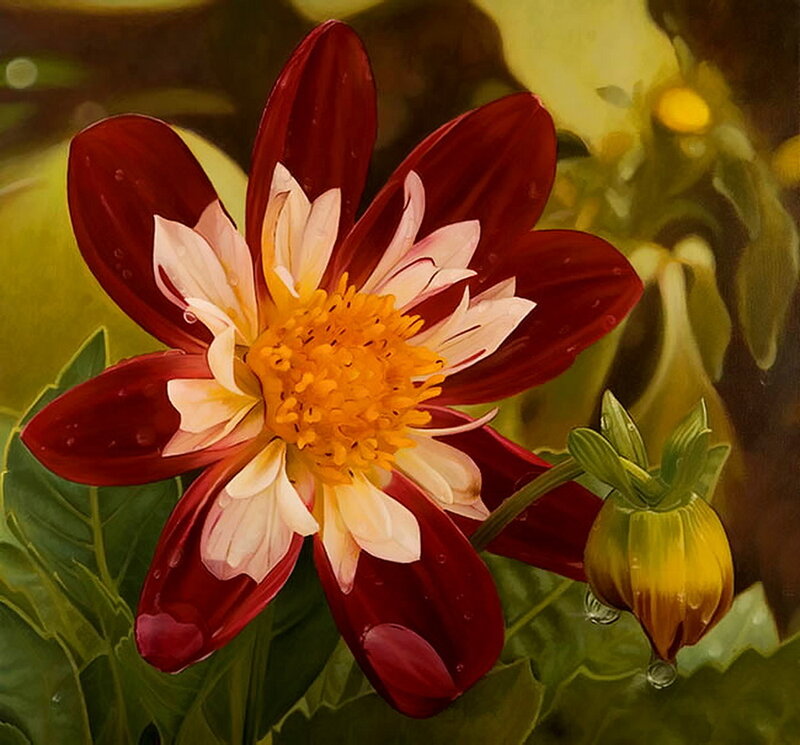 Dahlia Flower with Bud