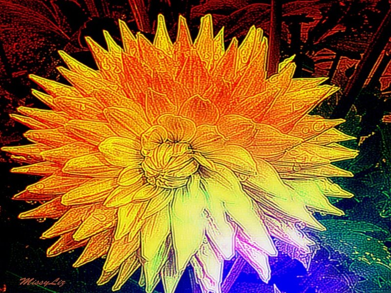 Dahlia Flower — Yellow