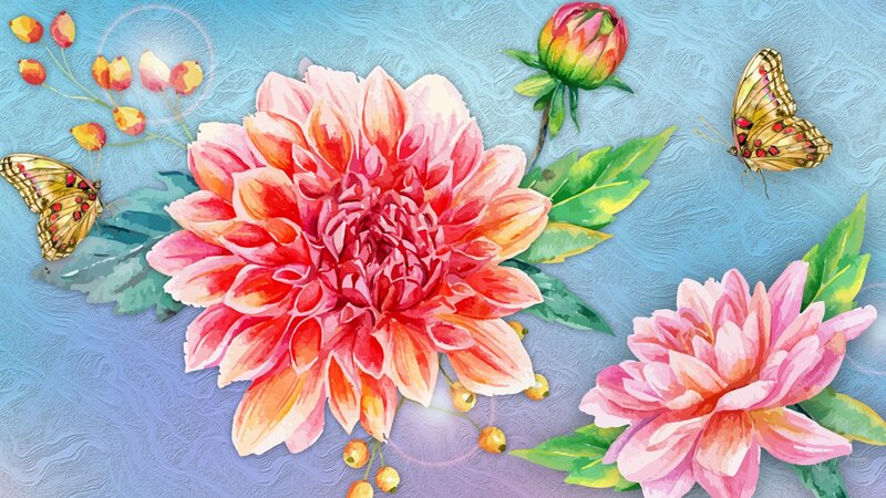 Dahlia Flowers and Butterflies — Pink