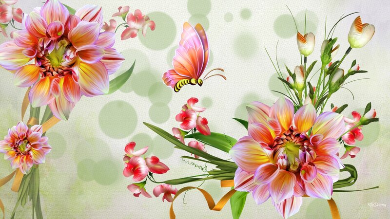 Dahlia Flowers and Butterfly — Pink
