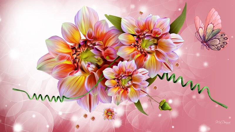 Dahlia Flowers and Butterfly