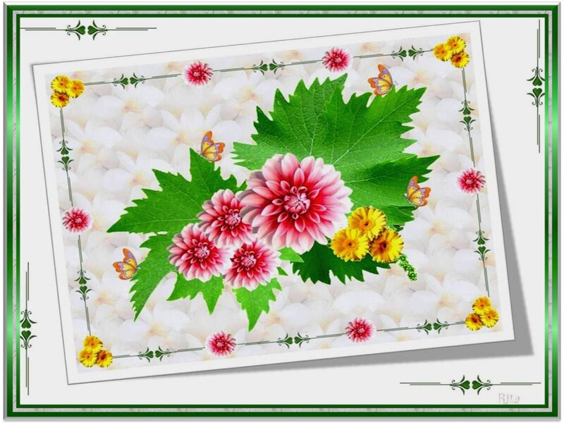 Dahlia Flowers and Leaves