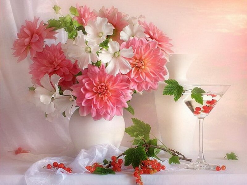 Dahlia Flowers in Vase