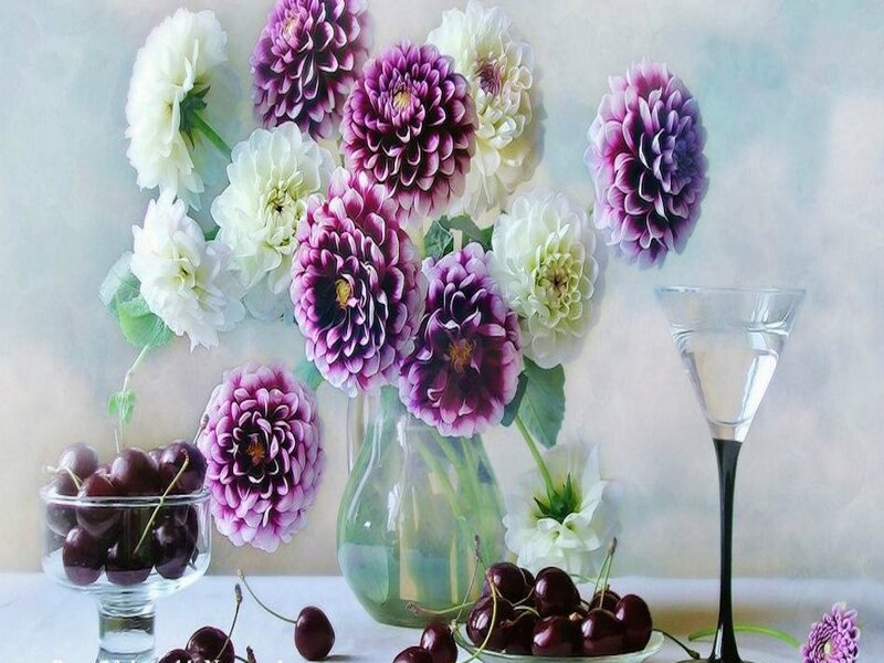 Dahlias and Cherries — Purple, Serene